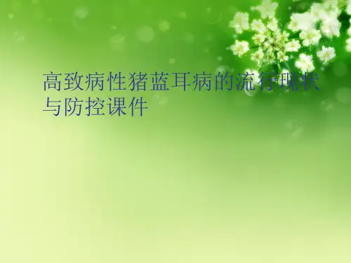 高致病性猪蓝耳病的流行现状与防控课件优秀课件