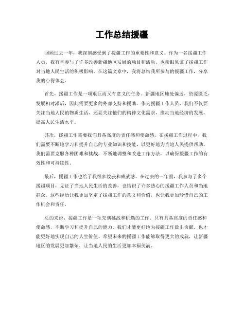 工作总结援疆