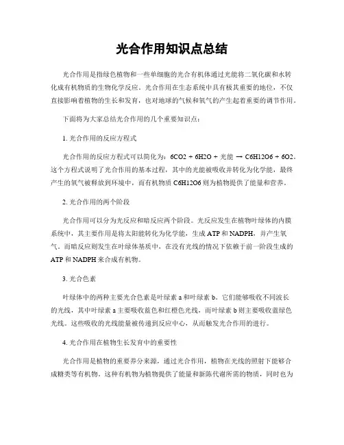 光合作用知识点总结
