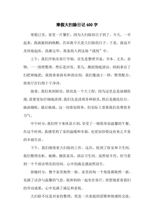 寒假大扫除日记400字