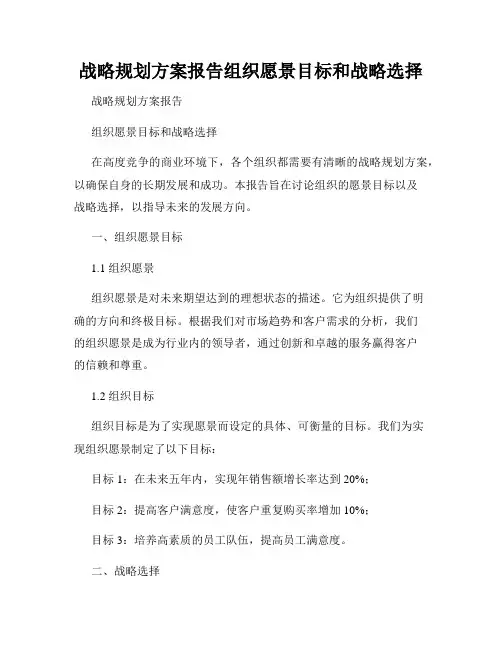 战略规划方案报告组织愿景目标和战略选择
