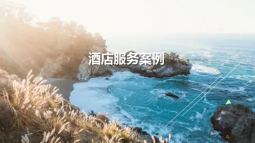 酒店服务案例PPT课件-旅行服务案例