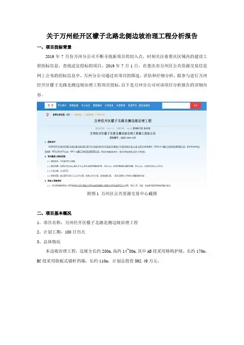 投标项目分析报告