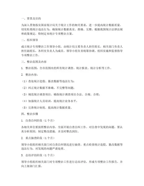 统计专项整治方案