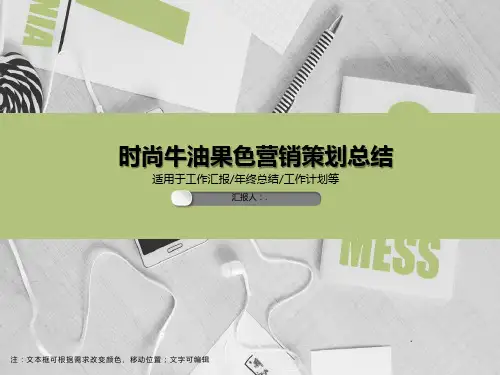 时尚牛油果色营销策划总结PPT模板