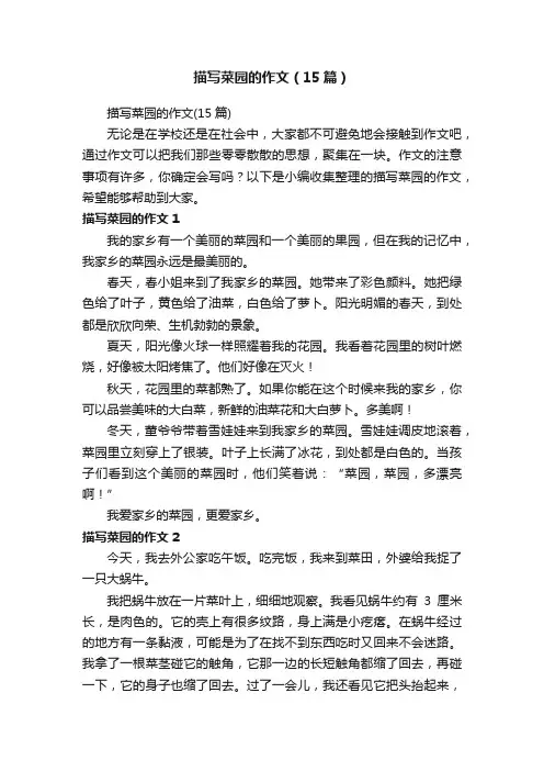 描写菜园的作文（15篇）