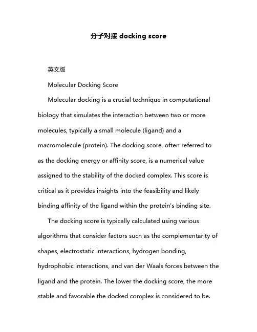 分子对接docking score