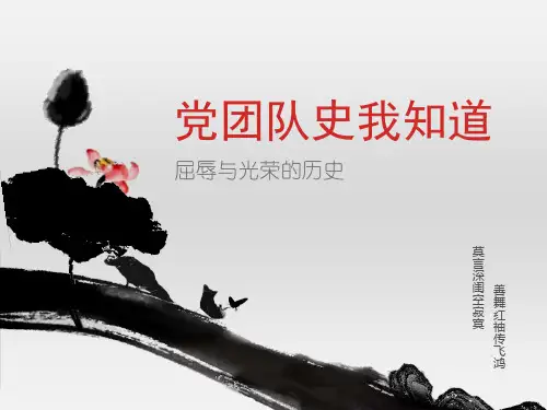 党团队史我知道