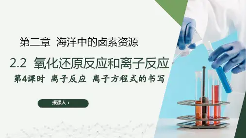2.2.4 离子反应 离子方程式的书写(同步课件)-高一化学同步精品课堂(沪科版2020必修第一册)