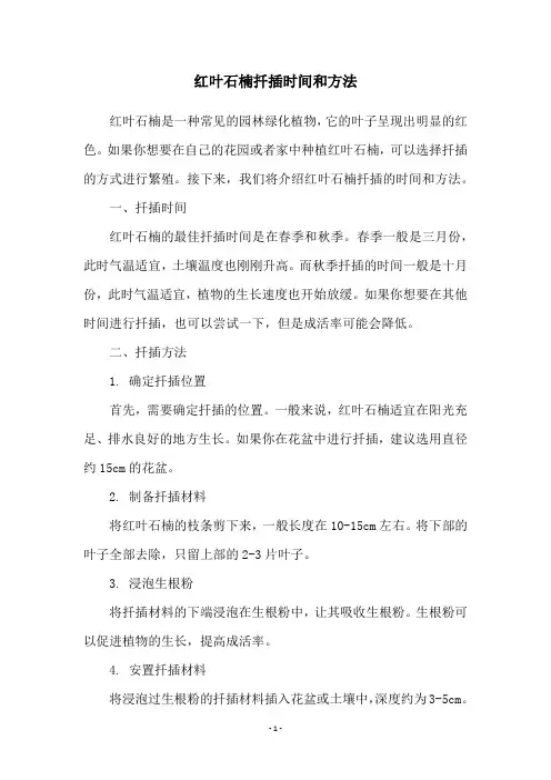 红叶石楠扦插时间和方法