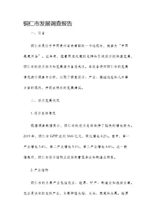 铜仁市发展调查报告