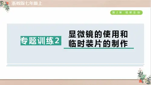 浙教版七年级科学上册第二章专题训练  显微镜的使用和临时装片的制作