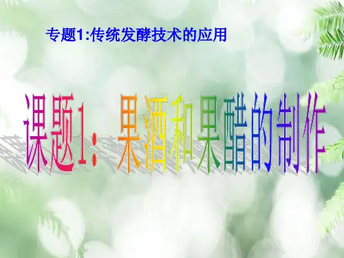 果酒与果醋制作PPT教学课件