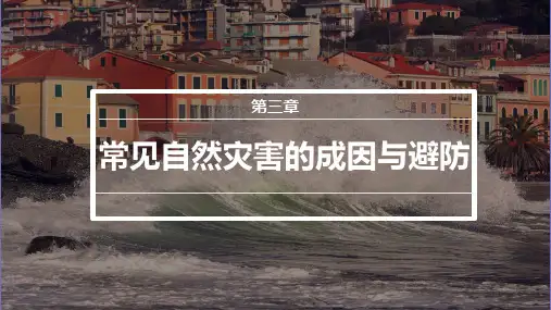 常见自然灾害及其成因课件2023-2024学年高中地理中图版(2019)必修一