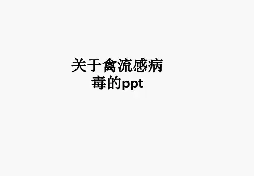 关于禽流感病毒的ppt课件