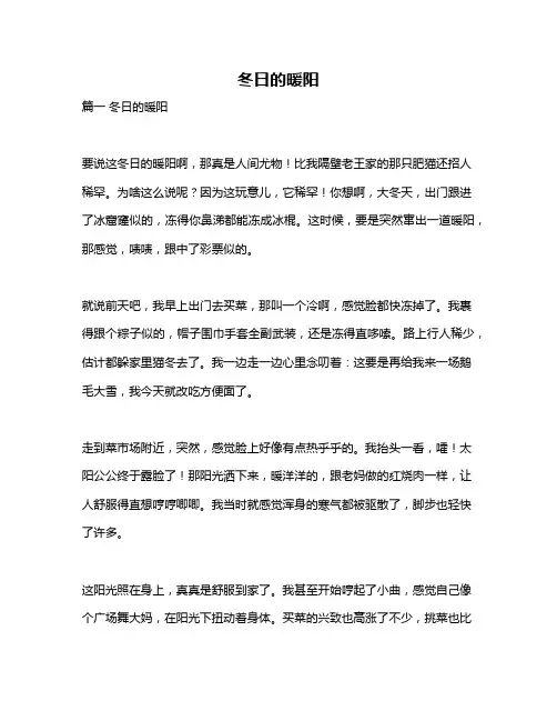 作文《冬日的暖阳》