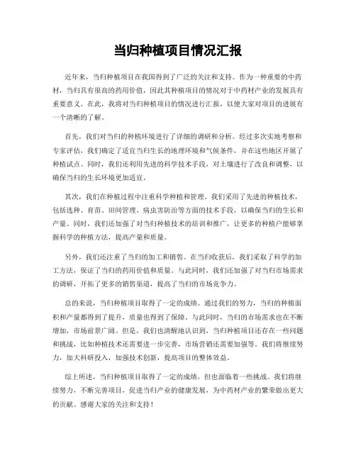 当归种植项目情况汇报