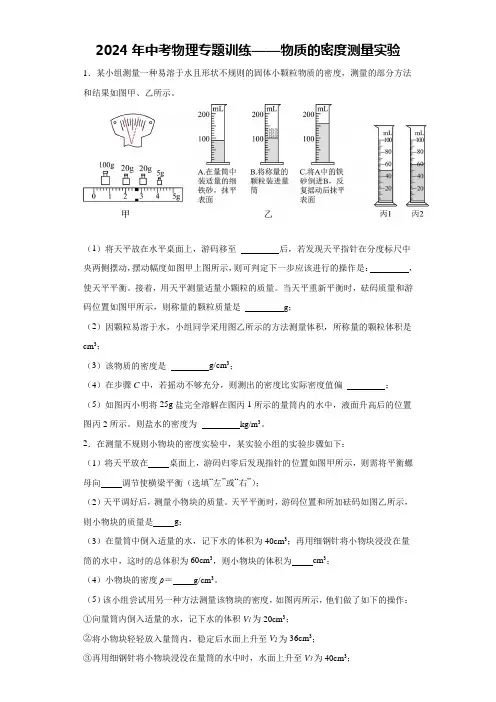 2024年中考物理专题训练——物质的密度测量实验(含解析)