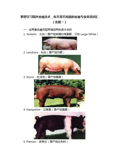 要想学习国外养猪技术，你不得不知道的养猪专业英语词汇（连载一）