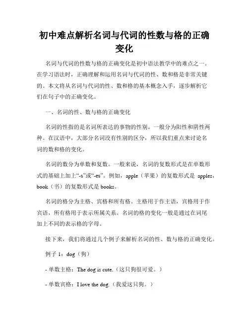 初中难点解析名词与代词的性数与格的正确变化