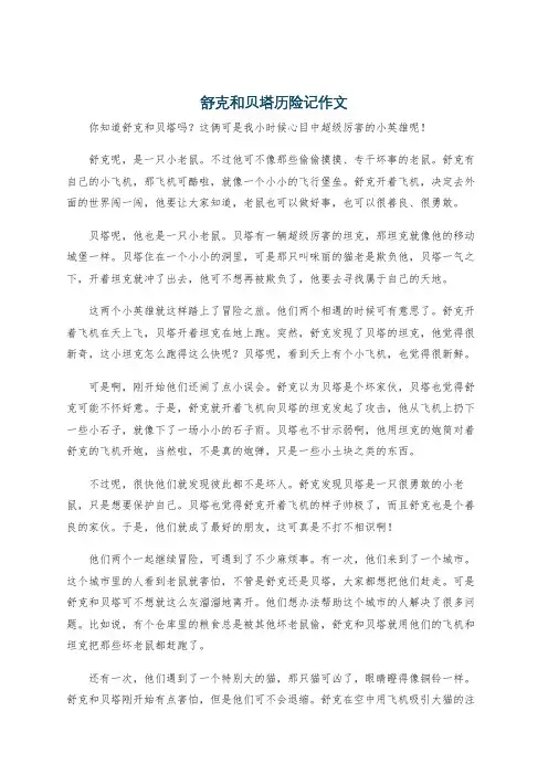 舒克和贝塔历险记作文