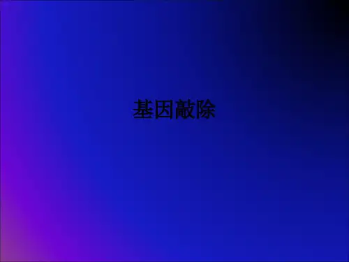 基因敲除ppt课件