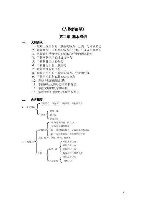 人体解剖学课后习题——基本组织(含答案)