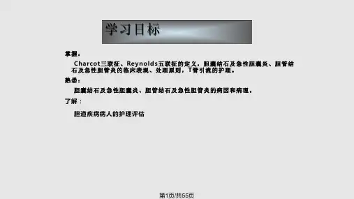 胆道疾病病人的护理外科护理学PPT课件