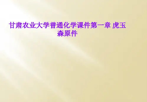 甘肃农业大学普通化学课件第一章 虎玉森原件