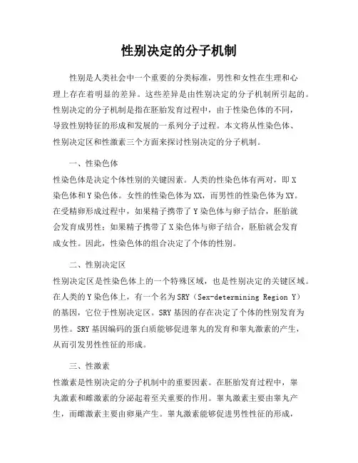性别决定的分子机制