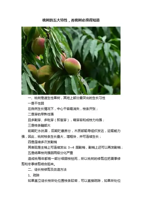 桃树的五大特性，养桃树必须得知道