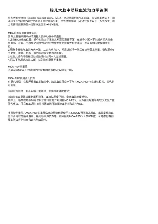 胎儿大脑中动脉血流动力学监测