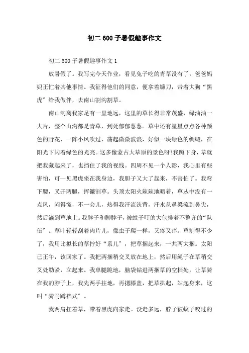 初二600子暑假趣事作文精选