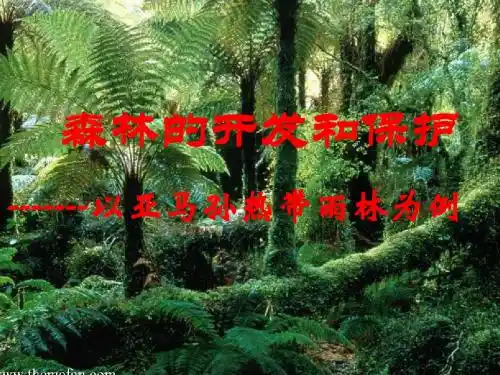 2.2 森林的开发和保护