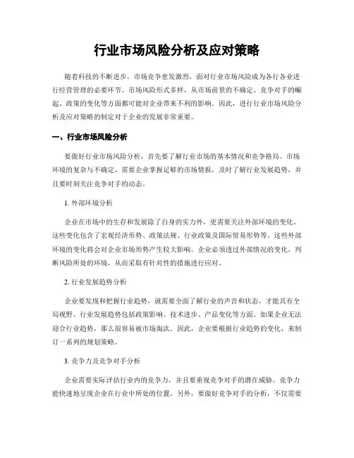 行业市场风险分析及应对策略