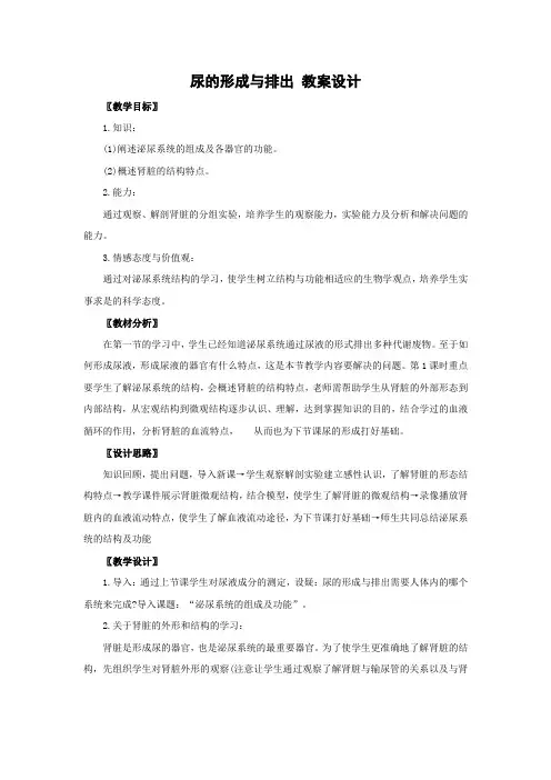 北师大版-生物-七年级下册-尿的形成与排出 教案设计