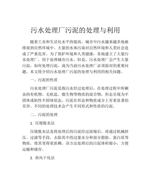 污水处理厂污泥的处理与利用