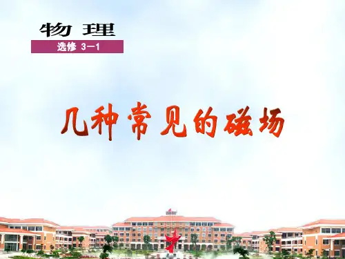 《3 几种常见的磁场》PPT课件(浙江省县级优课)