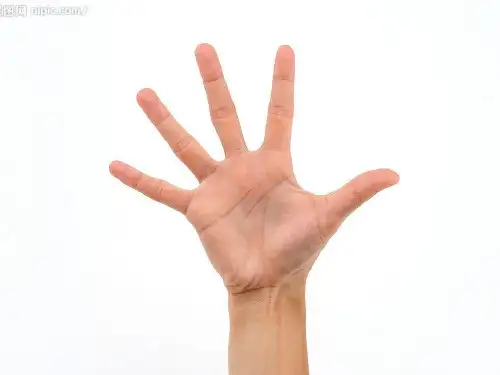 奇思妙想 六年级美术