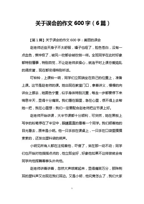 关于误会的作文600字(6篇)