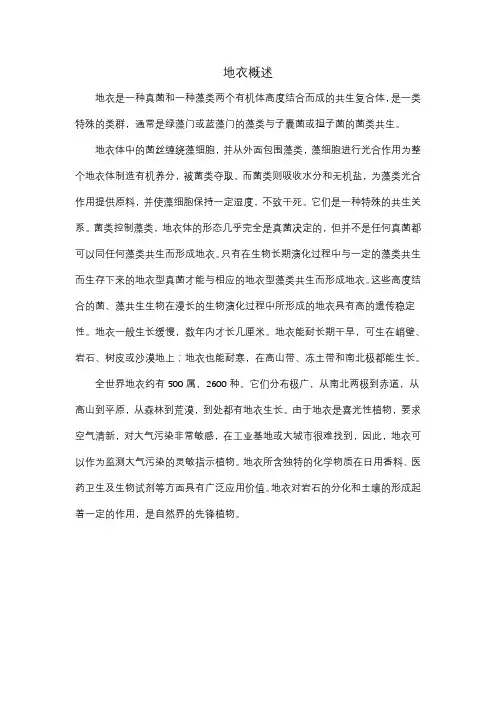 中药学《地衣概述》