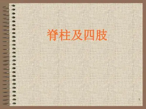 脊柱及四肢体格检查PPT幻灯片课件