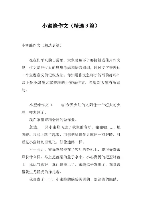 小蜜蜂作文(精选3篇)