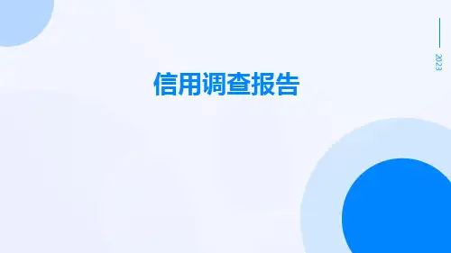 信用调查报告