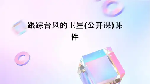 跟踪台风的卫星(公开课)课件