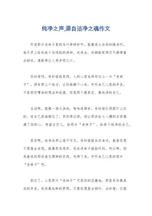纯净之声,源自洁净之魂作文