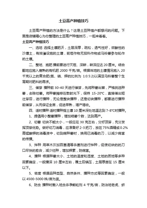 土豆高产种植技巧
