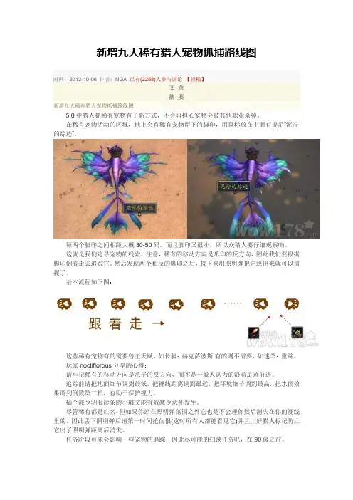 潘达利亚9个稀有