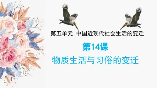 高中历史必修2优质课件9：第14课 物质生活与习俗的变迁