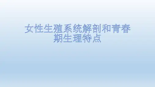 女性生殖系统解剖.2007 幻灯片